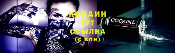 меф Дмитриев