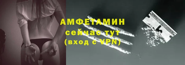 меф Дмитриев
