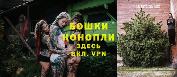 меф Дмитриев