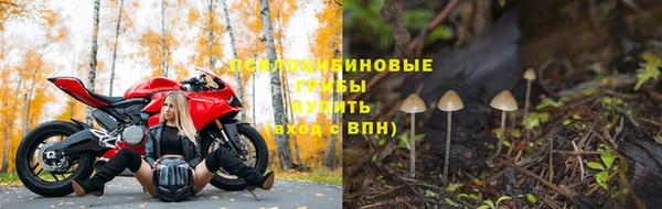 прущие крисы Дмитровск